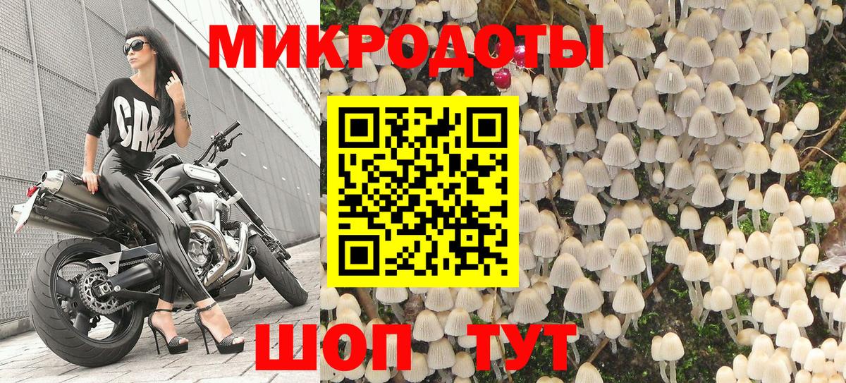 Петропавловск-Камчатский  Псилоцибиновые грибы мухоморы  Вход с VPN 